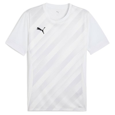 Майка игровая детская Puma teamGOAL Graphic Jersey