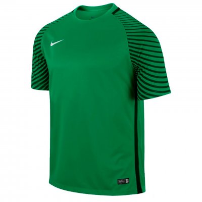 Свитер вратарский Nike Gardien SS