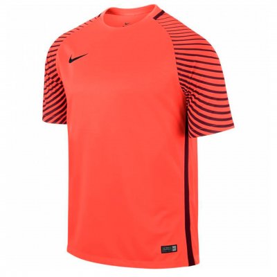 Свитер вратарский Nike Gardien SS