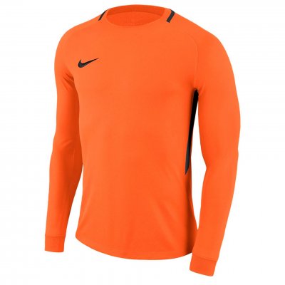 Свитер вратарский Nike Park III Football Jersey