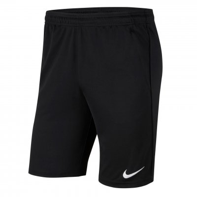 Шорты тренировочные Nike Park20 Knit Shorts