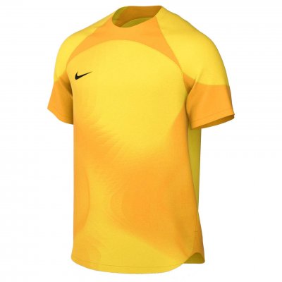 Футболка вратарская Nike Gardien IV SS