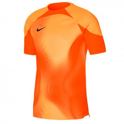 Футболка вратарская Nike Gardien IV SS