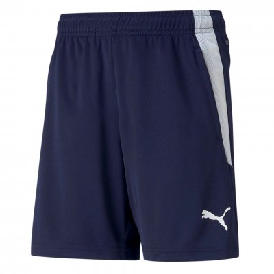 Шорты тренировочные Puma teamLIGA Training Shorts