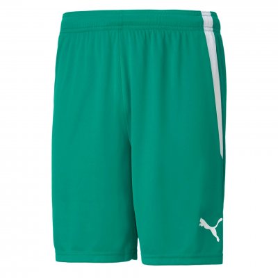 Шорты игровые Puma teamLIGA Shorts